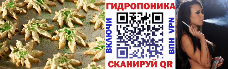 дарнет шоп  Алупка  Canna-Cookies марихуана 