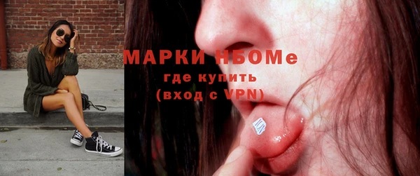 индика Алексин