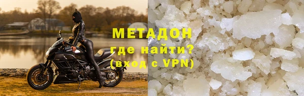 индика Алексин