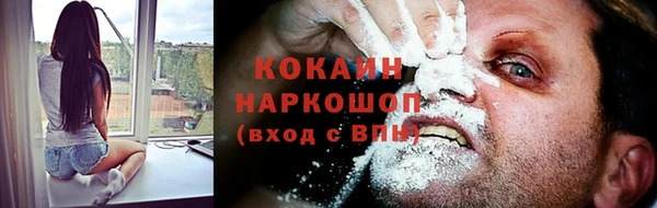 индика Алексин