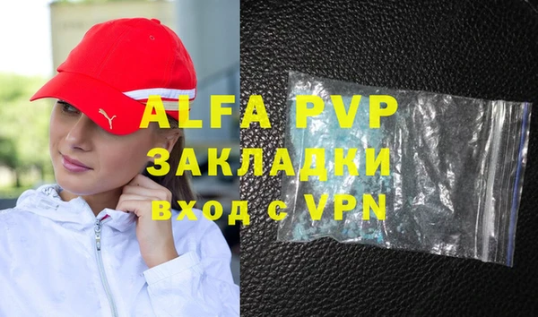 индика Алексин