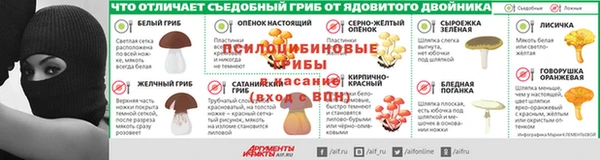 индика Алексин