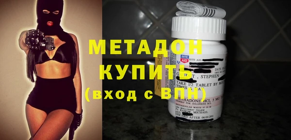 индика Алексин