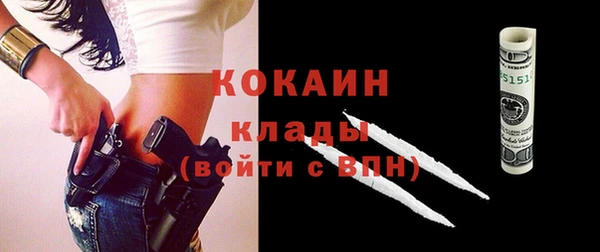 индика Алексин
