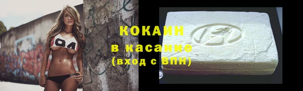 индика Алексин