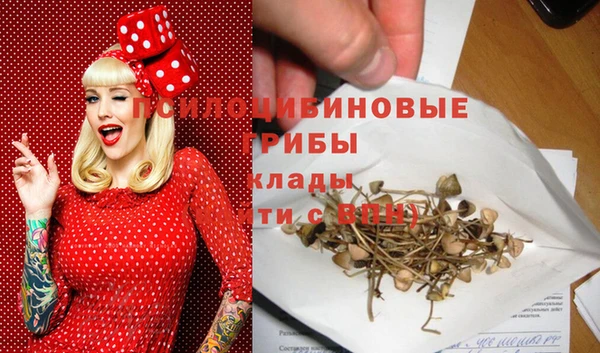 дмт Алзамай