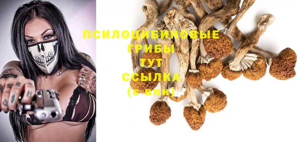 дмт Алзамай
