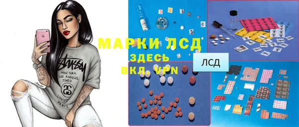 индика Алексин