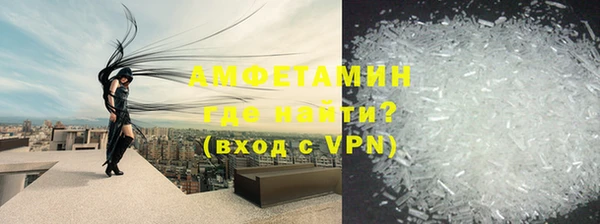 индика Алексин