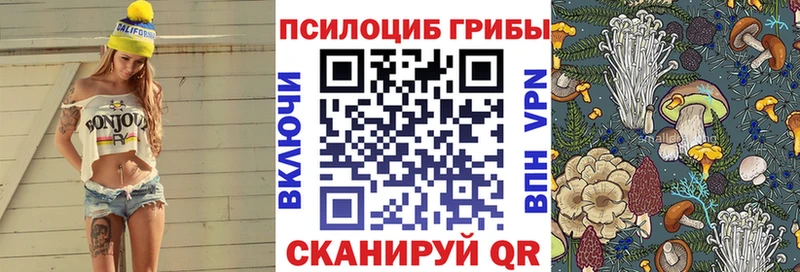 продажа наркотиков  Алупка  Псилоцибиновые грибы MAGIC MUSHROOMS 